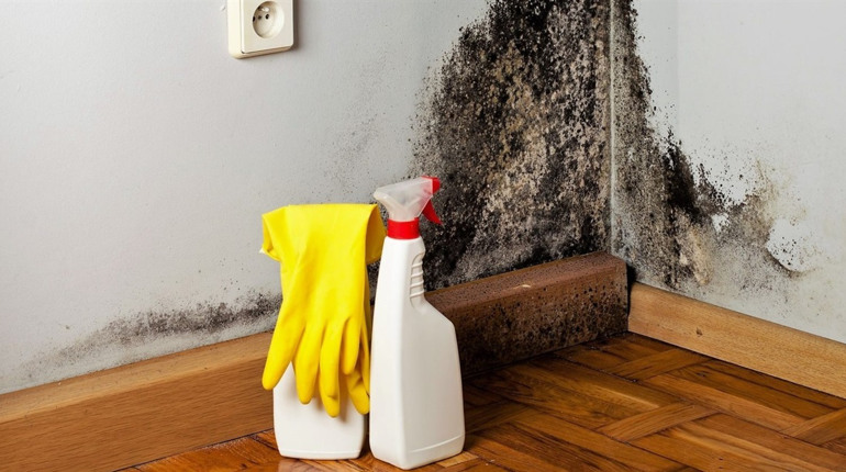 Як позбутись плісняви